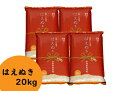 【ふるさと納税】庄内産 はえぬき20kg