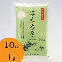 【ふるさと納税】JAあまるめ 山形県庄内町産 はえぬき10kg×1袋 令和6年産 2024年産 ブランド米 ふるさと納税 米 山形県