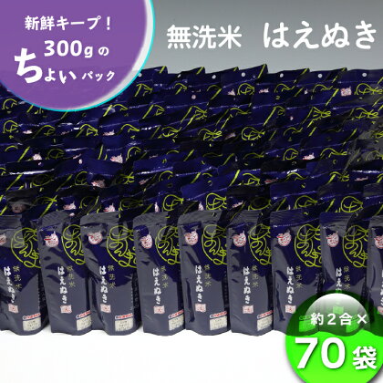 ふるさと納税 米 山形県 山形 無洗米 ちょいまんま 無洗米はえぬき2合×70袋セット