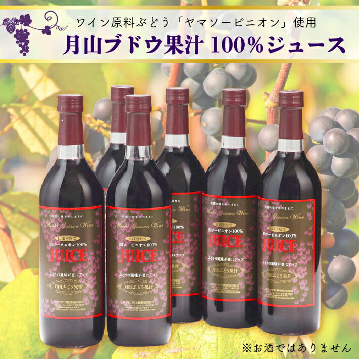 1位! 口コミ数「0件」評価「0」 ふるさと納税 山形 食の都庄内 月山ぶどう果汁100％ジュース 6本セット