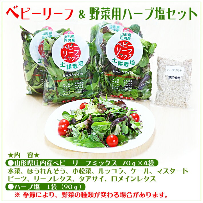 山形県庄内町の画像2