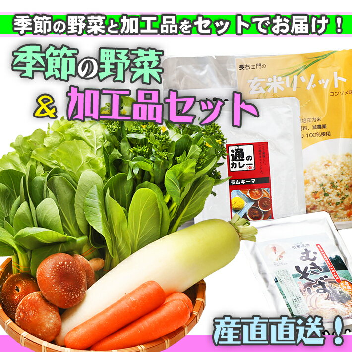 産直直送 ！庄内町 季節の野菜 と 加工品 セット