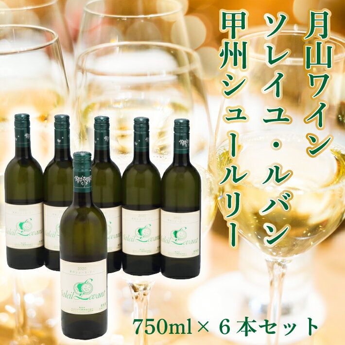 11位! 口コミ数「0件」評価「0」 ふるさと納税 ワイン 山形 食の都庄内 月山ワイン ソレイユ ルバン 甲州シュール・リー 白（辛口）6本セット