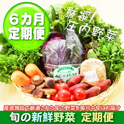 ＜6月中旬発送＞新鮮野菜6か月定期便！産直施設「あっでば」直送（入金期限：2024.5.25） ふるさと納税 山形