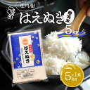 【ふるさと納税】はえぬき無洗米 5kg 令和6年産 2024年産 ブランド米 ふるさと納税 米 山形県 庄内 コシヒカリの原点、亀の尾発祥の地