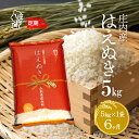 【ふるさと納税】<6月中旬発送>庄内米6か月定期便!はえぬき 5kg(入金期限:2025.5.25) ふるさと納税 米 定期便 山形県