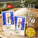 【ふるさと納税】<10月中旬発送>庄内米6か月定期便!はえぬき無洗米 10kg(入金期限:2025.9.25)5kg×2袋 無洗米 ふるさと納税 米 定期便 山形県 新米受付 新米