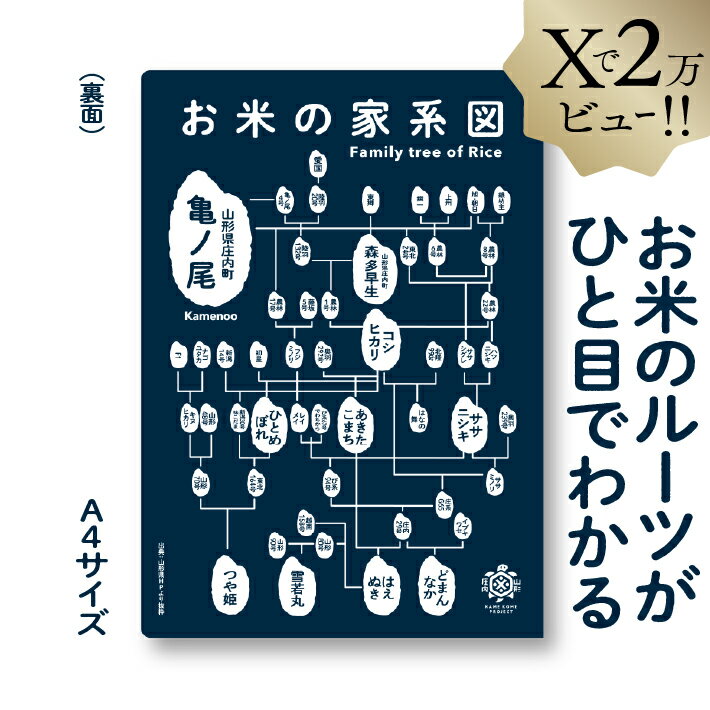 山形県庄内町の画像2