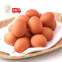 【ふるさと納税】<毎月中旬発送>スズキのたまご 6か月定期便! 地養卵 30個 or 50個 選べる配送開始月 ふるさと納税 山形 定期便 卵