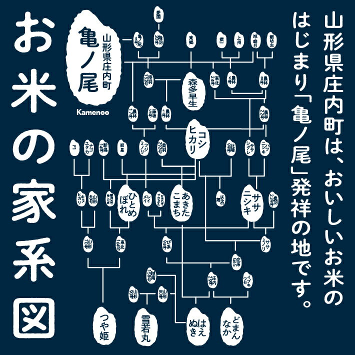 山形県庄内町の画像3