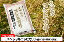 【ふるさと納税】平成30年庄内町産スペシャルコシヒカリ5kg...
