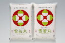 【ふるさと納税】山形発の新ブランド米!雪若丸10kg