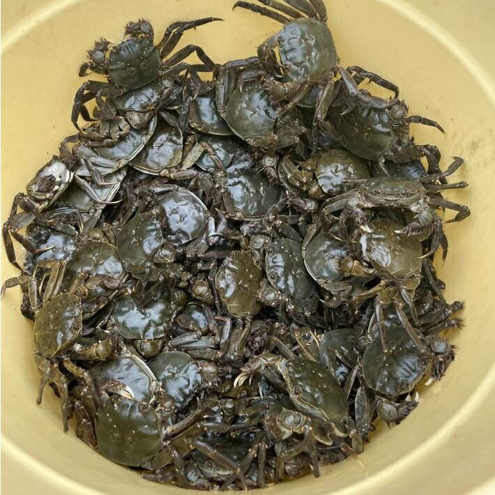 山形県庄内町の画像2