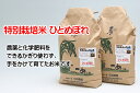 【ふるさと納税】石垣農園の特別栽培米ひとめぼれ10kg...