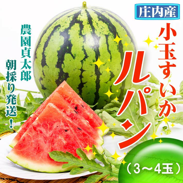 【ふるさと納税】農園貞太郎　小玉スイカ　ルパン3～4玉（2024年7月下旬から順次発送　入金期限：2024.7.20）のサムネイル