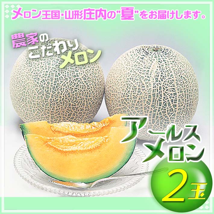 【ふるさと納税】【8月より順次発送】アールスメロン 大玉2玉（入金期限：2025.7.31） ふるさと納税 山形