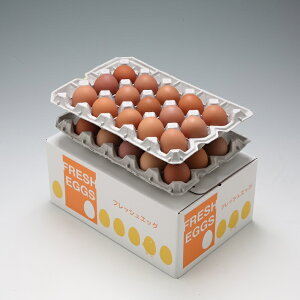 【ふるさと納税】 ふるさと納税 山形 スズキのたまご　地養卵　MS～L　30個
