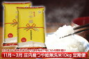 【ふるさと納税】庄内米定期便!つや姫無洗米10kg(11月下...