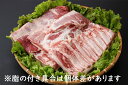 【ふるさと納税】山形県庄内SPF豚最上川ポークバラブロック4...