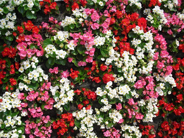 山形県庄内町の画像2