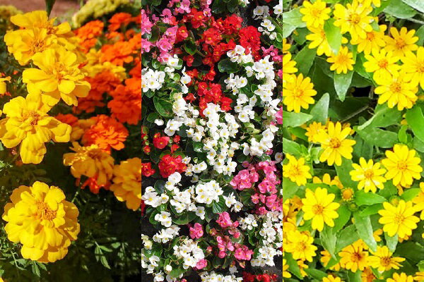 山形県庄内町の画像2