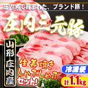 【ふるさと納税】 ブランド豚「 三元豚 」計1.1kg／ 生姜焼き ・ しゃぶしゃぶ セット ふるさと納税 豚肉 高級