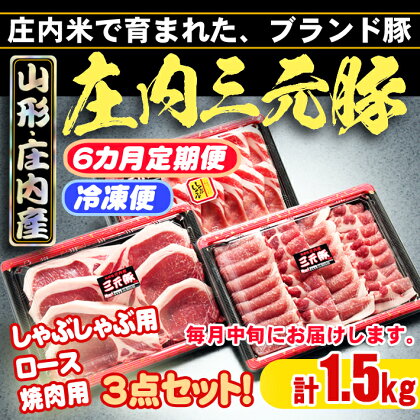 ふるさと納税 豚肉 高級 ＜6月中旬発送＞庄内三元豚6か月定期便！（入金期限：2024.5.25）