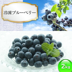 【ふるさと納税】 ふるさと納税 山形 食の都庄内　冷凍ブルーベリー2kg（8月中旬より発送開始）