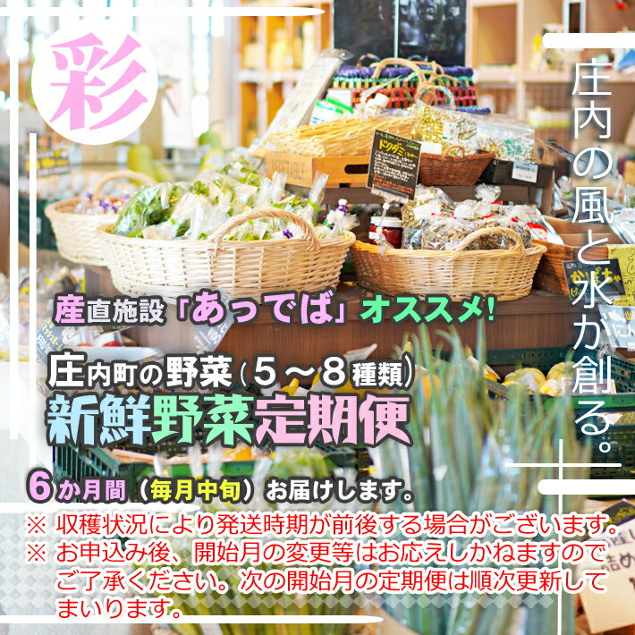 【ふるさと納税】 ＜7月中旬発送＞ 新鮮野菜 6か月定期便！ 産直施設「あっでば」直送 （入金期限：2024.6.25） ふるさと納税 山形 定期便