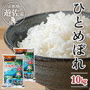 【ふるさと納税】ひとめぼれ 計10kg 5kg 2袋 令和5年産米 山形県遊佐産 ご希望の時期頃お届け 東北 遊佐町 庄内地方 庄内平野 米 お米 精米 白米 庄内米 ごはん ご飯 セット 発送時期が選べる