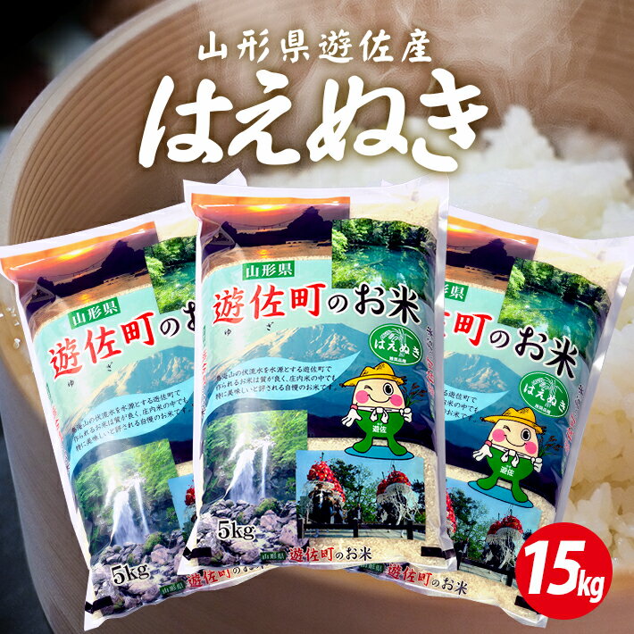 【ふるさと納税】はえぬき 計15kg 5kg×3袋 令和3年産米 山形県遊佐産 東北 遊佐町 庄内地方 庄内平野 米 お米 精米 白米 庄内米 ごはん ご飯 セット