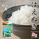 【ふるさと納税】はえぬき 5kg×1袋 令和7産米 山形県遊佐産 ご希望の時期頃お届け 東北 遊佐町 庄内地方 庄内平野 米 お米 精米 白米 ..