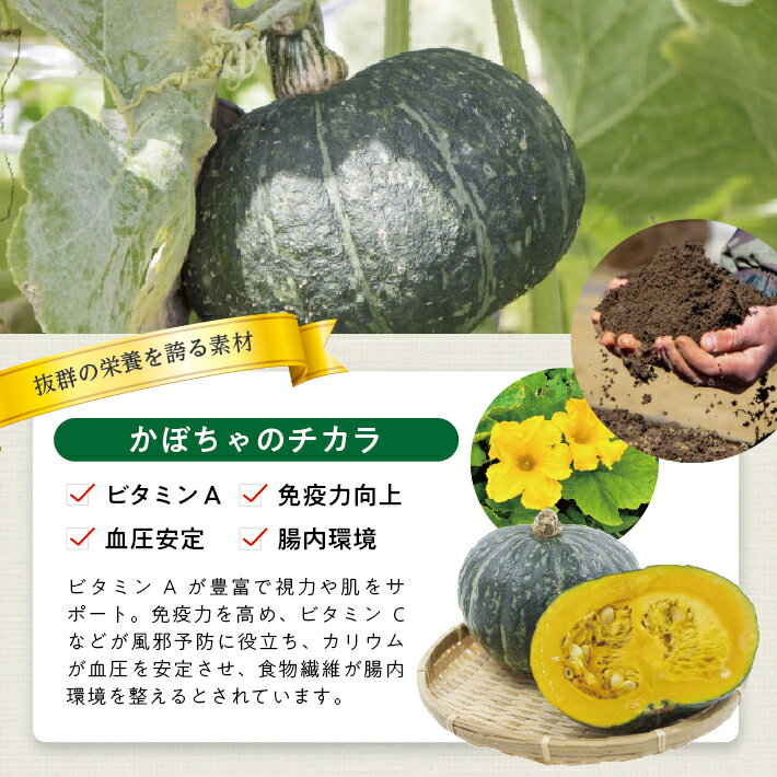 【ふるさと納税】冷凍かぼちゃペースト 選べる数量 2～4袋 1袋あたり500g 山形県遊佐産 冷凍便 ※離島発送不可 冷凍 かぼちゃ カボチャ 南瓜 野菜 野菜ペースト 離乳食 介護食 お菓子作り 小分け ゆざ食彩工房 遊佐町 庄内 東北