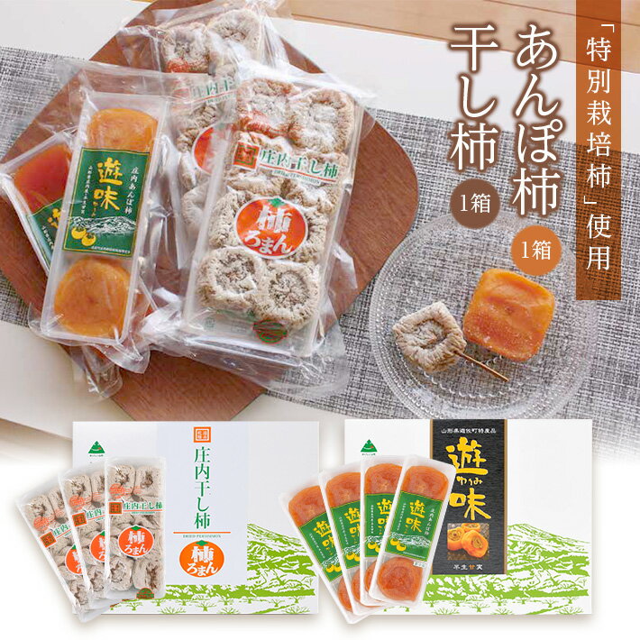 【ふるさと納税】庄内干し柿「柿ろまん」と庄内あんぽ柿「遊味」のセット 各1箱 山形県遊佐町産 庄内柿 2025年12月上旬~2026年1月下旬頃お届け 冷蔵便 ※離島発送不可 東北 庄内地方 干柿 かき カキ 特別栽培柿 エコファーマー ドライフルーツ 半生