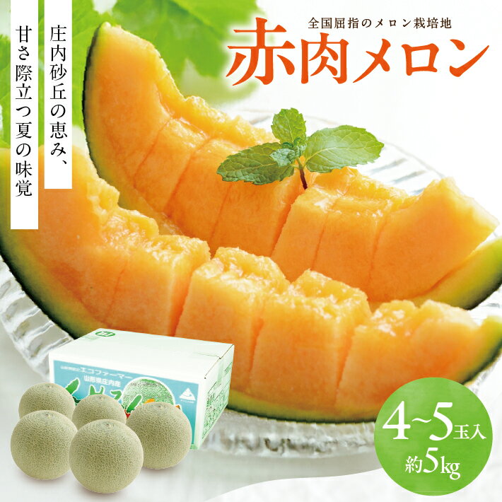 楽天市場】赤肉メロンの通販