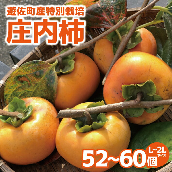 特別栽培庄内柿 10kg L〜2Lサイズ 52〜60個入り 山形県遊佐町産 11月上旬～11月下旬頃お届け ※着日指定不可 東北 山形県 遊佐町 庄内地方 種無し柿 カキ かき 種無し