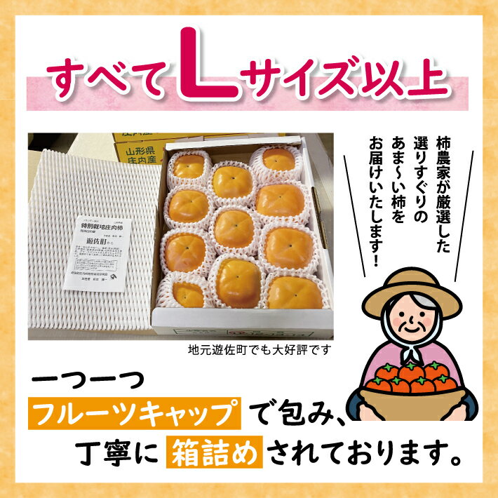 【ふるさと納税】特別栽培庄内柿 2.5kg L〜3Lサイズ 11〜12個入り 山形県遊佐町産 11月上旬～11月下旬頃お届け ※着日指定不可 東北 山形県 遊佐町 庄内地方 種無し柿 カキ かき 種無し