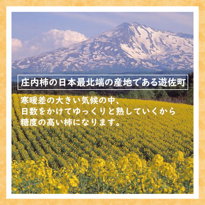 【ふるさと納税】特別栽培庄内柿 10kg L〜2Lサイズ 52〜60個入り 山形県遊佐町産 11月上旬～11月下旬頃お届け ※着日指定不可 東北 山形県 遊佐町 庄内地方 種無し柿 カキ かき 種無し