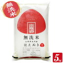 【ふるさと納税】無洗米 はえぬき 5kg 山形県庄内産 令和7年産米 ご希望の時期頃お届け 東北 山形県 遊佐町 庄内地方 庄内平野 庄内米 精米 白米 セット 阿部ベイコク