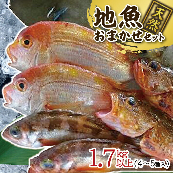 地魚おまかせセット 4〜5種類入り 計1.7kg以上 冷蔵便 ※着日指定・離島(沖縄県を含む)への発送不可 東北 山形県 遊佐町 庄内地方 鮮魚 詰合せ 産地直送 新鮮