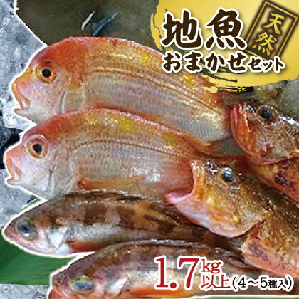 地魚おまかせセット 4～5種類入り 計1.7kg以上 冷蔵便 ※着日指定・離島（沖縄県を含む）への発送不可 東北 山形県 遊佐町 庄内地方 鮮魚 詰合せ 産地直送 新鮮