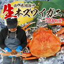【ふるさと納税】生・本ズワイガニ 1匹 700g程度 遊佐沖 10月中旬〜12月下旬頃お届け 冷蔵便 ※着日指定・離島(沖縄県を含む)発送不可 2人前 東北 山...