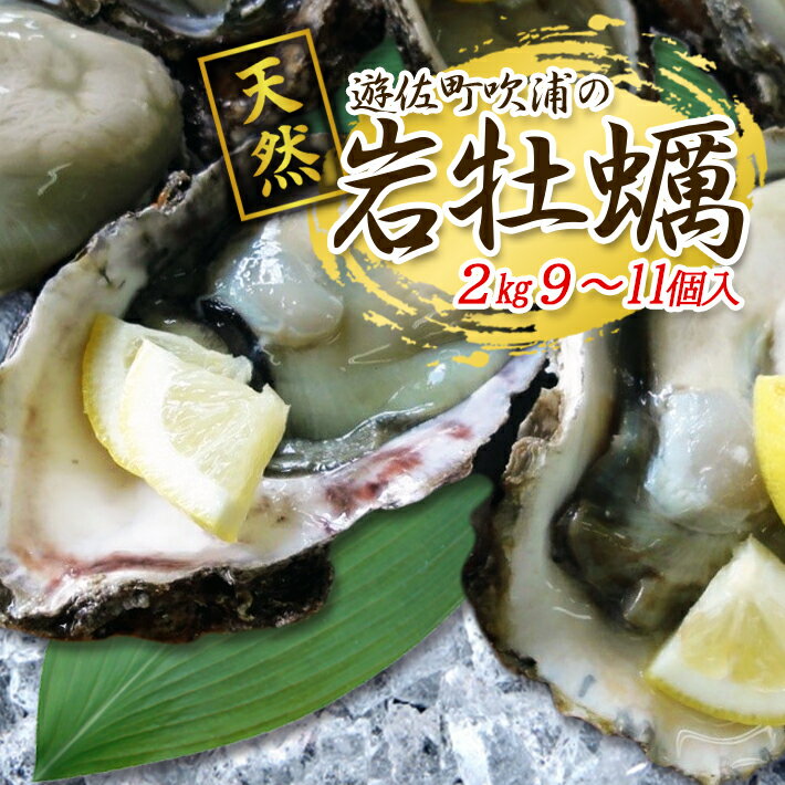 【ふるさと納税】天然岩牡蠣 約2kg 9～11個入 殻付き 山形県遊佐町吹浦産 6月上旬〜8月下旬頃お届け 冷蔵便 ※着日指定・離島（沖縄県を含む）発送不可 カキ かき 岩かき お取り寄せ 日本海 東北 庄内 鮮魚 新鮮のサムネイル