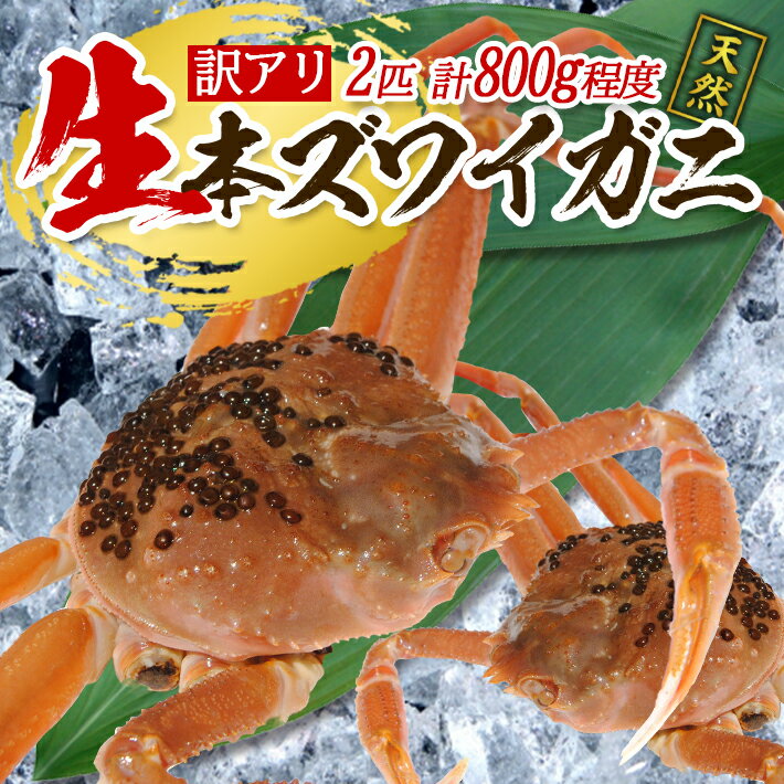 【ふるさと納税】訳あり 生・本ズワイガニ 2匹 計800g程度 1～2本足折れ 遊佐沖 10月中旬～12月下旬頃お届け 冷蔵便 ※着日指定・離島（沖縄県を含む）発送不可 わけあり 訳アリ ワケアリ ワケあり カニ 蟹 かに 海産物 海鮮 新鮮 まるごと 生食 刺身 ボイル 期間限定