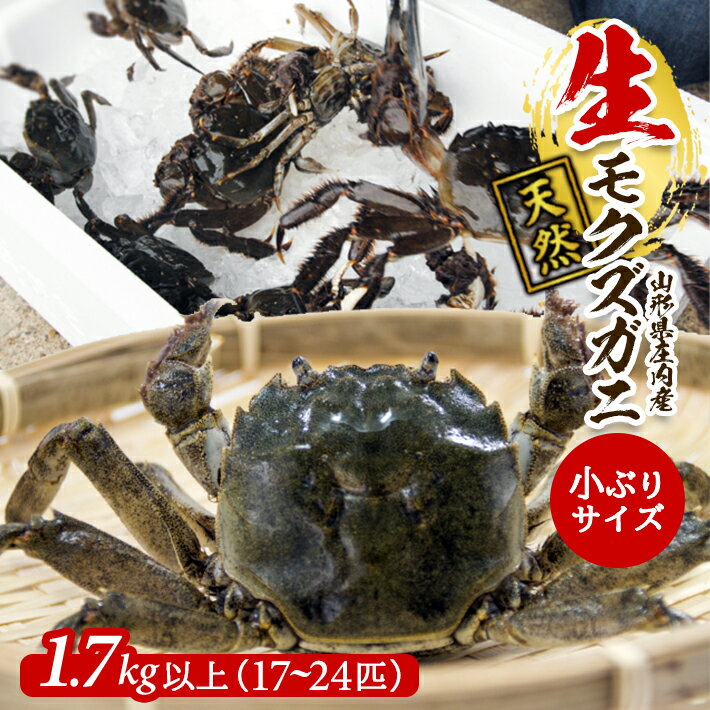 【ふるさと納税】生・天然モクズガニ 1.7kg以上 小ぶりサ