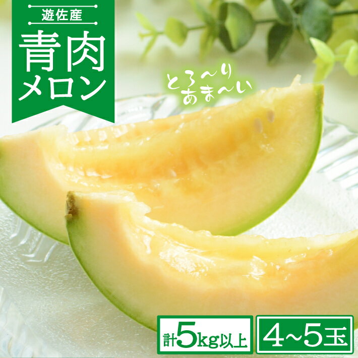 【ふるさと納税】青肉メロン 計5kg以上 4〜5玉入 山形県遊佐産 7月上旬〜8月上旬頃お届け ※着日指定不可 果物 フルーツ 夏 東北 山形県 遊佐町 庄内のサムネイル