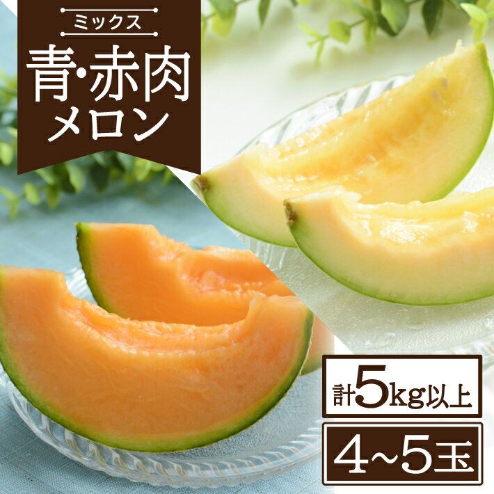 【ふるさと納税】青肉・赤肉メロン 計5kg以上 4〜5玉入 山形県遊佐産 7月中旬〜8月上旬頃お届け ※着日...