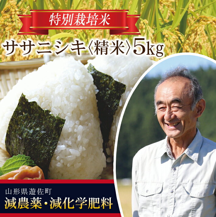 【ふるさと納税】ササニシキ 5kg×1袋 令和5年産米 特別栽培米 山形県遊佐産 鳥海山の恵 東北 遊佐町 庄内地方 庄内平…