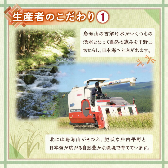 【ふるさと納税】ササニシキ 5kg×1袋 令和5年産米 特別栽培米 山形県遊佐産 鳥海山の恵 東北 遊佐町 庄内地方 庄内平野 米 お米 精米 白米 庄内米 ごはん ご飯