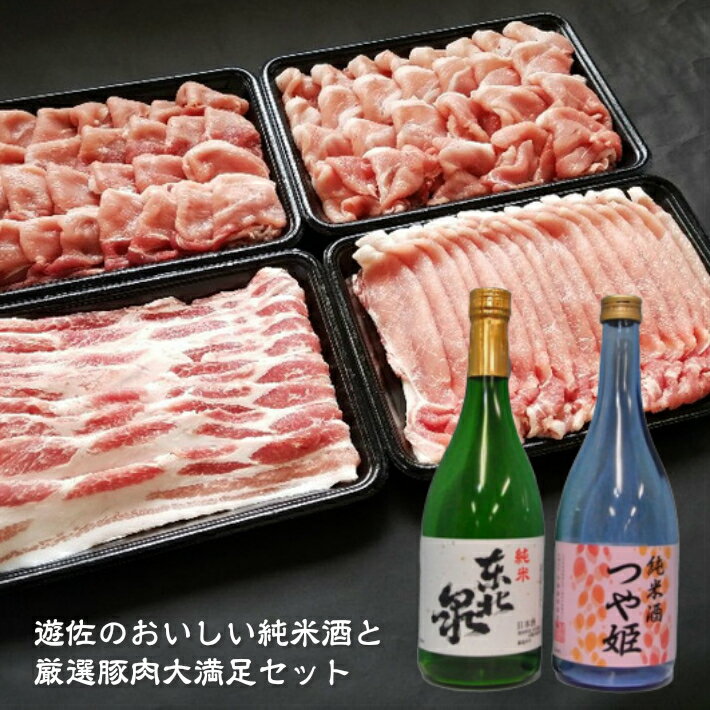 【ふるさと納税】遊佐のおいしい純米酒と厳選豚肉大満足セット 